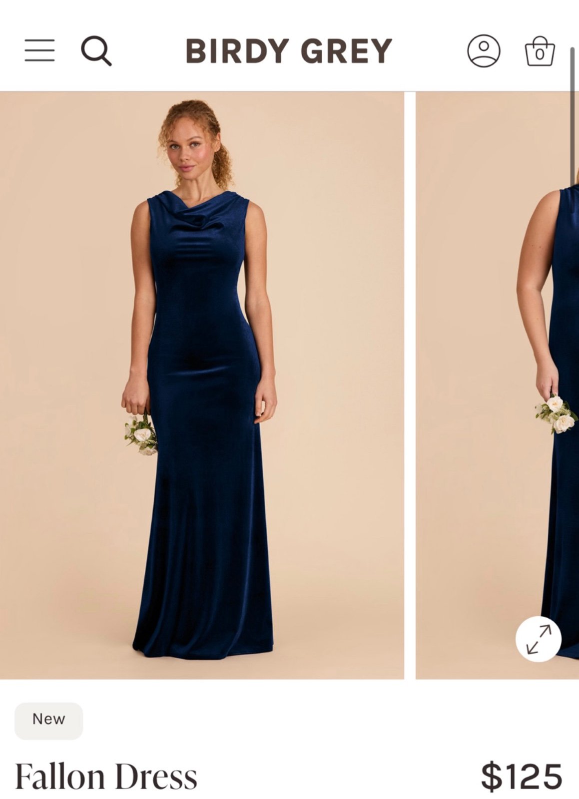 Sapphire Blue Velvet Dress