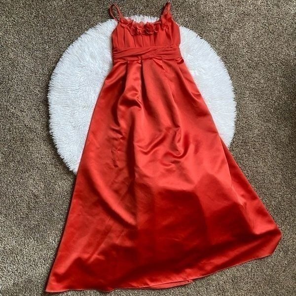 David’s Bridal Dress Size Small 10 Flower Girl Fall Wedding Tulle Long