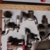 Lot of 5 old water Spigots