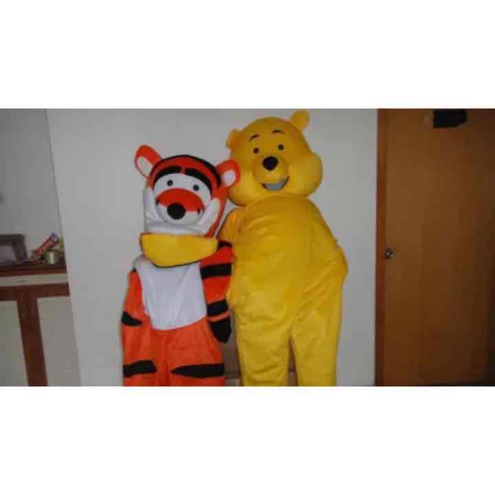 Winnie the Pooh and Tigger costume