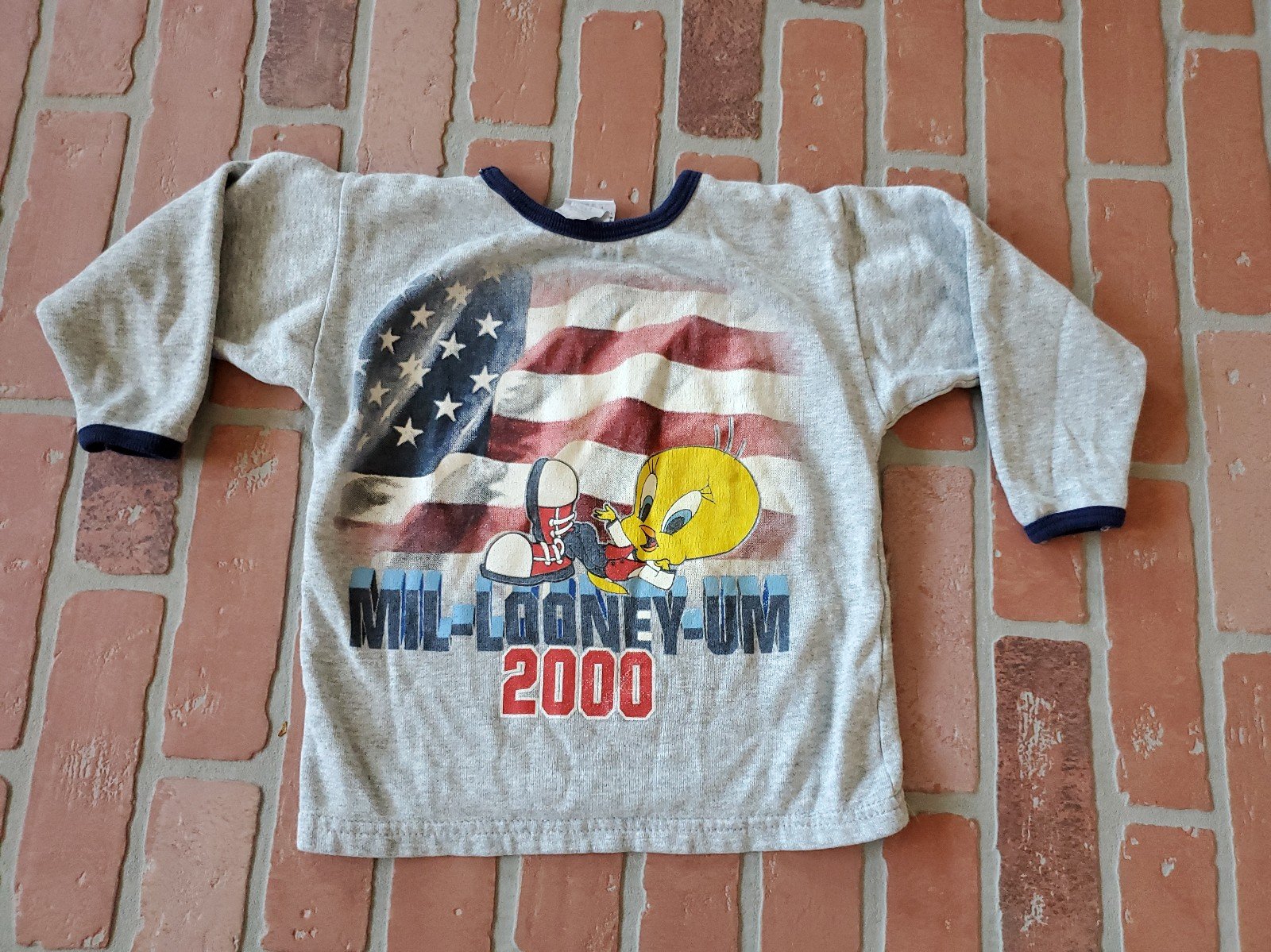 Vintage 1997 Tweety Bird Sweatshirt American Flag Size 5/6 Months