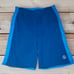 Volcom swim shorts