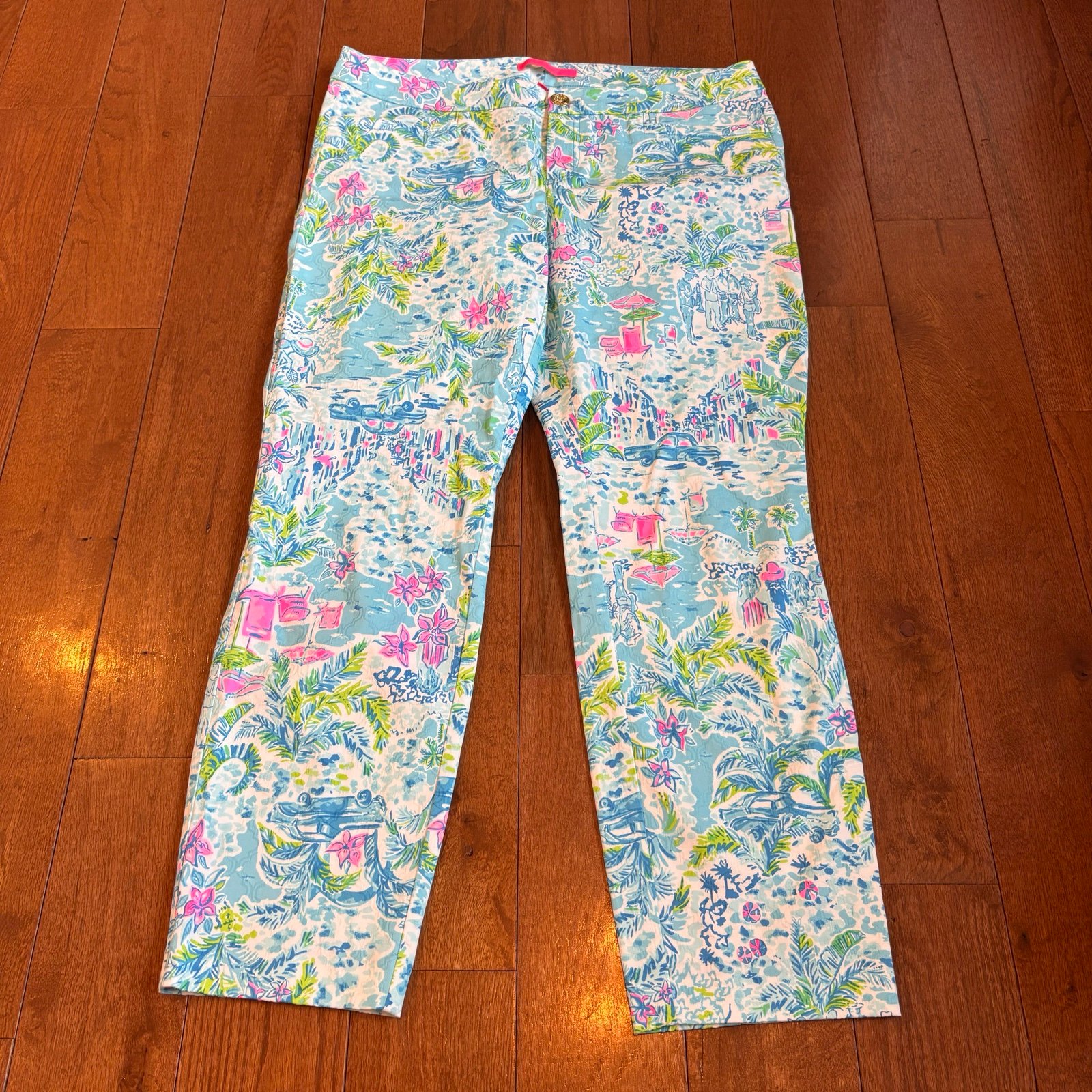 NWOT Lilly Pulitzer Kelly Skinny Ankle Pants 27 Blue Pink White Resort Wear 10