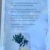 Google Nest Hub, 2nd Generation New in Box