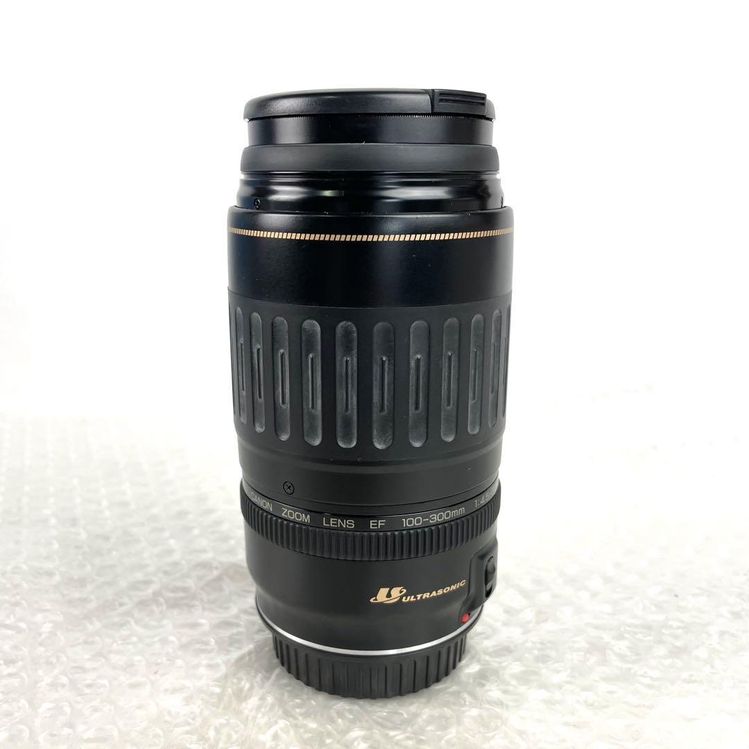 Amazon.com : Canon 28-105 F3.5-4.5 USM Lens : Camera Lenses