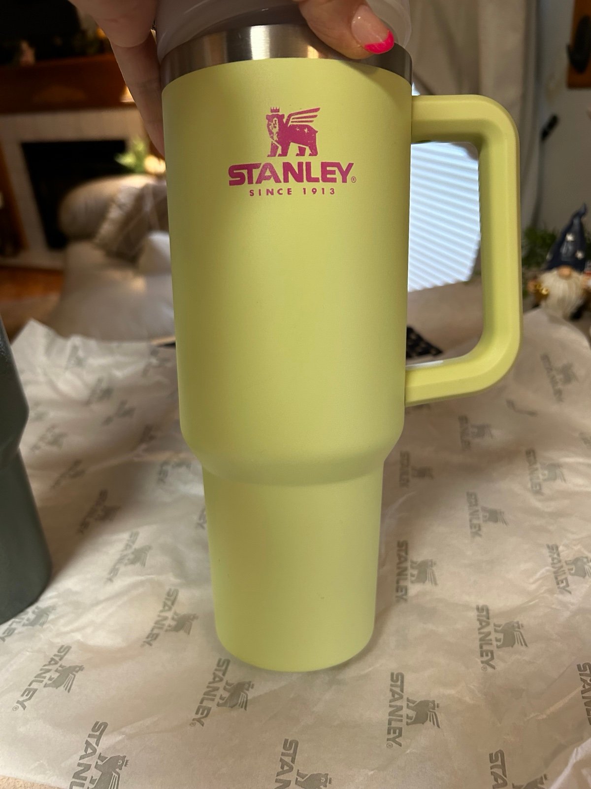 citron mix stanley EUC