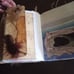 Ship/Ocean Adventure Journal/Scrapbook
