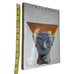 Sculpture of Xia & Shang China By Yang Xiaoneng Book 1988 Hardcover