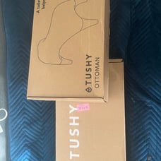 tushy bidet ottoman. Selling the ottoman and bidet separately.