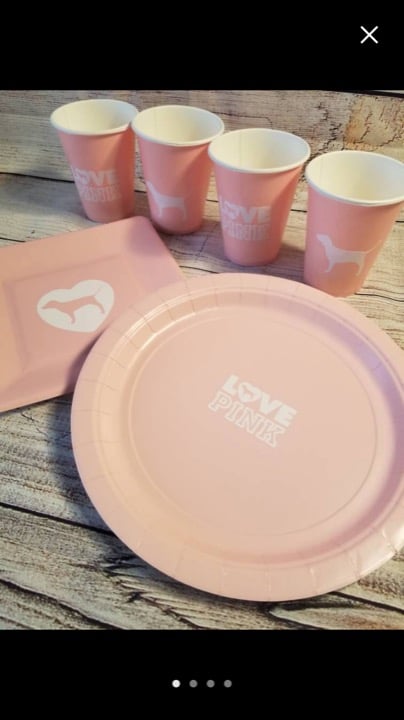 VS Love Pink Party Plates Cups