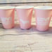 VS Love Pink Party Plates Cups