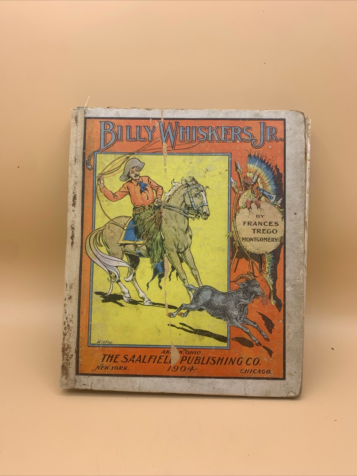 1904 Billy Whiskers Jr. by Frances Montgomery Chicago