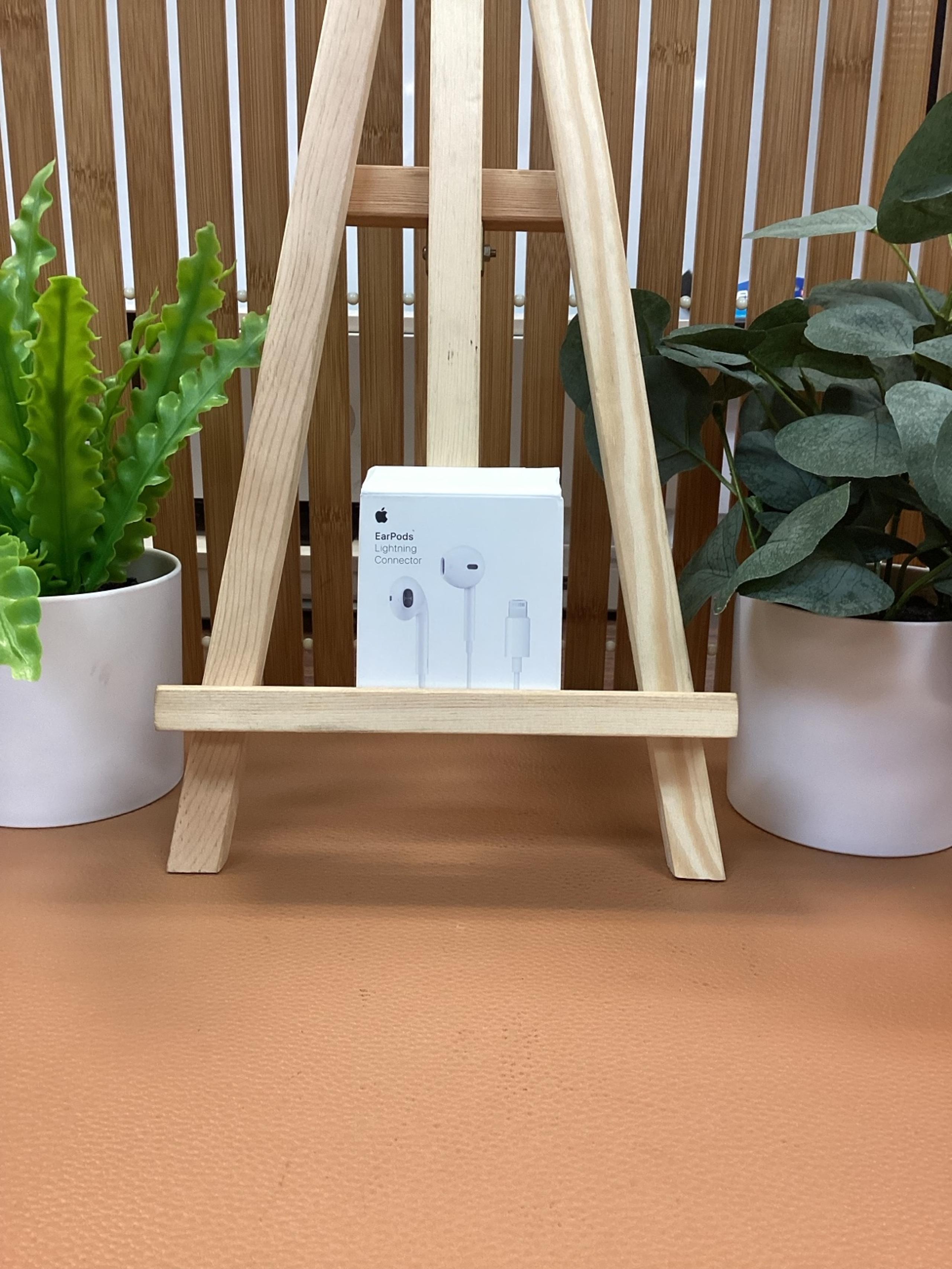 Apple EarPods with Lightning Connector