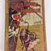 Swiss Family Robinson Vintage Book 40
