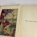 Swiss Family Robinson Vintage Book 40