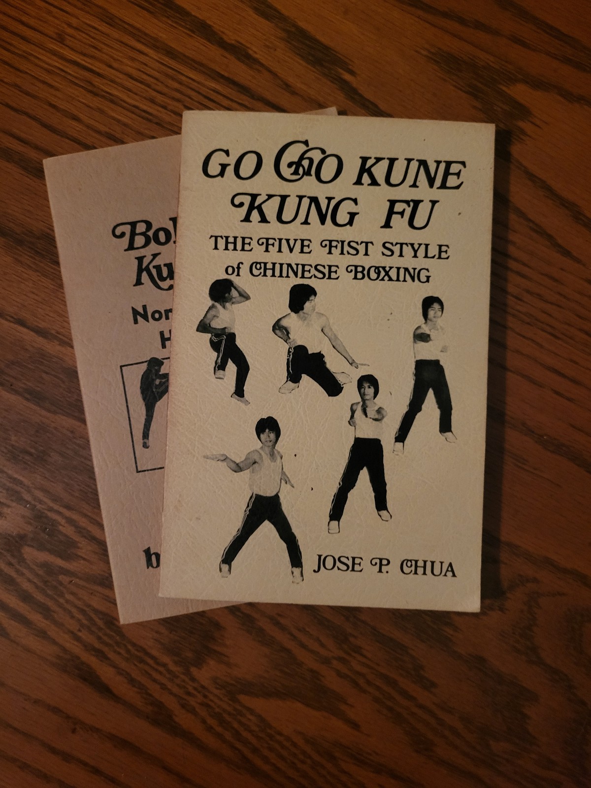 Jose P Chua Kung Fu PB Lot of 2