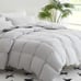 Goose Feather Down Comforter Twin Size-1fsa