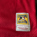 Mitchell & ness St. Louis Cardinals bp Jersey