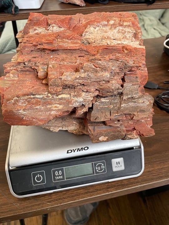 Raw petrified wood
