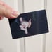 Enhypen Walk The Line World Tour Jake photocard Set of 7 pcs