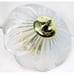 Glass Floral Ceiling Mount Light Frosted Leaves Petal 3 Bulb Spring Gold Hardwir