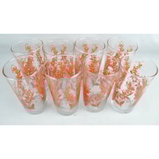 Set Vintage 1960 Orange Red Botanical Print Drinking Glasses Anchor Hocking 12oz