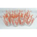 Set Vintage 1960 Orange Red Botanical Print Drinking Glasses Anchor Hocking 12oz