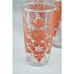 Set Vintage 1960 Orange Red Botanical Print Drinking Glasses Anchor Hocking 12oz