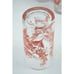 Set Vintage 1960 Orange Red Botanical Print Drinking Glasses Anchor Hocking 12oz