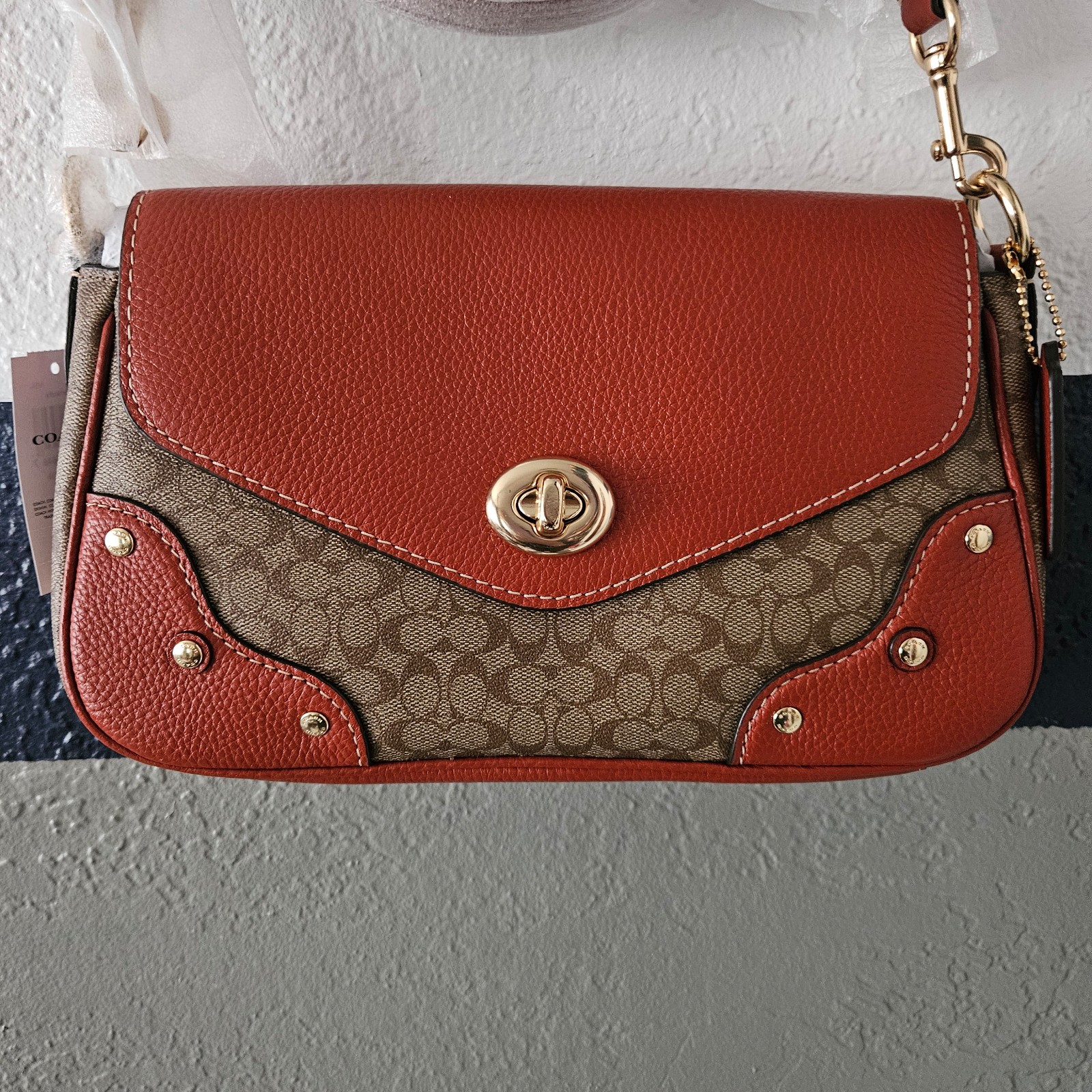 Coach Shoulder/Crossbody Bag