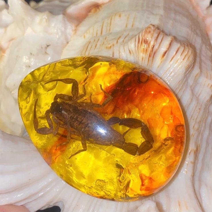 Sale * Fossilized Scorpion in Amber Resin hanging charm or paper weight