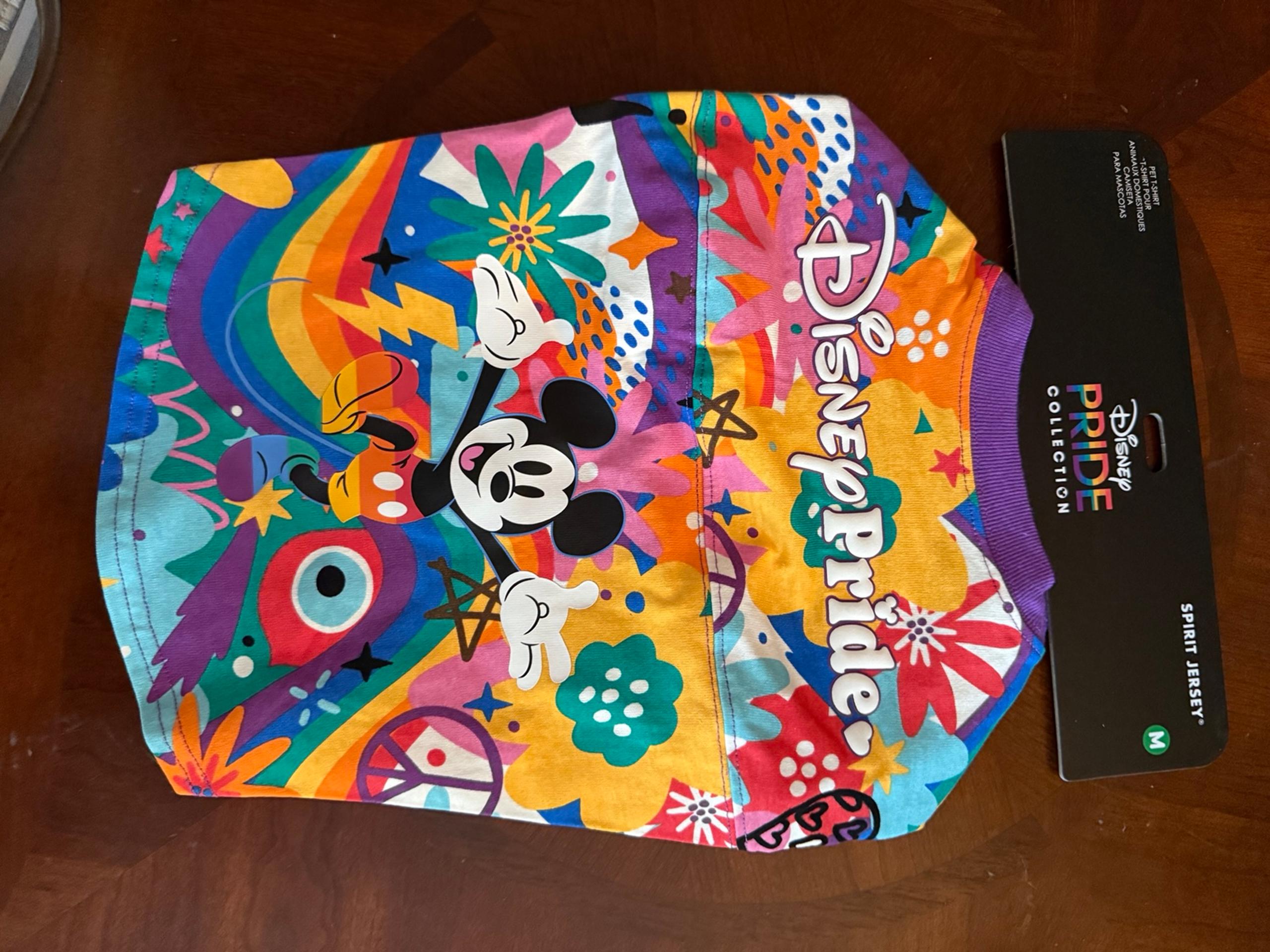 Disney pride dog spirit jersey