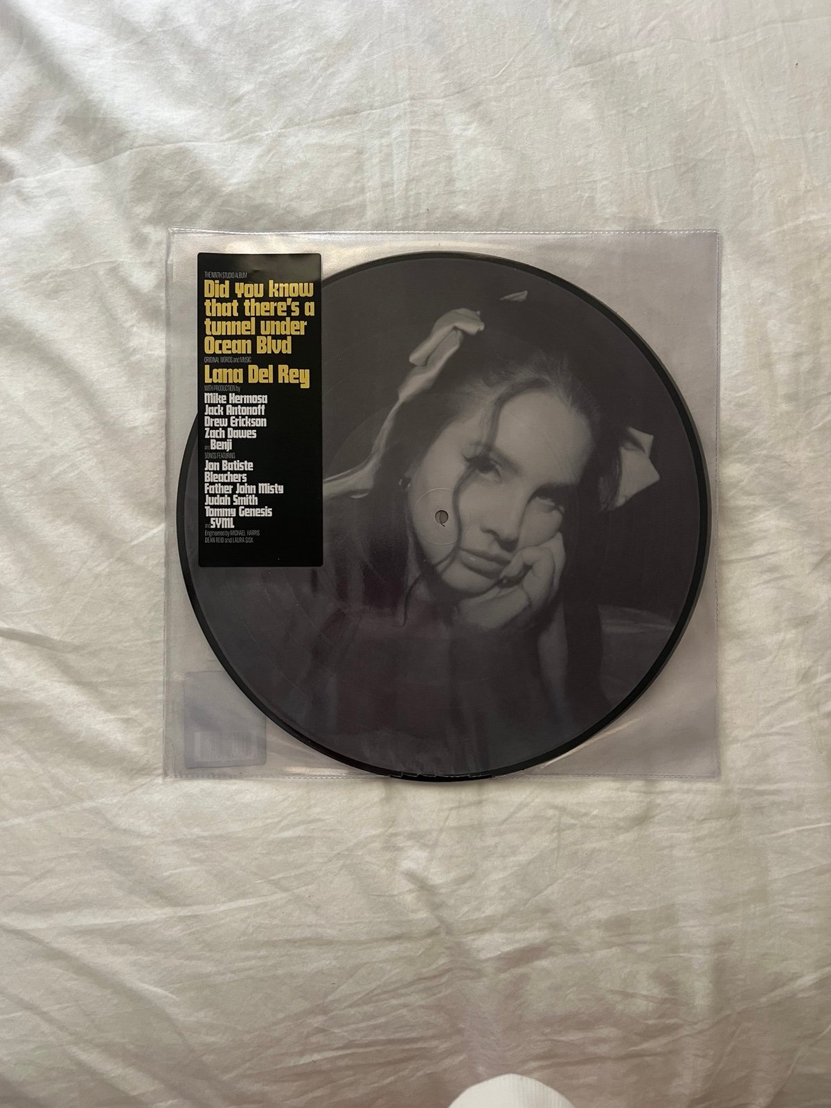 Lana Del Rey Picture Disc Vinyl
