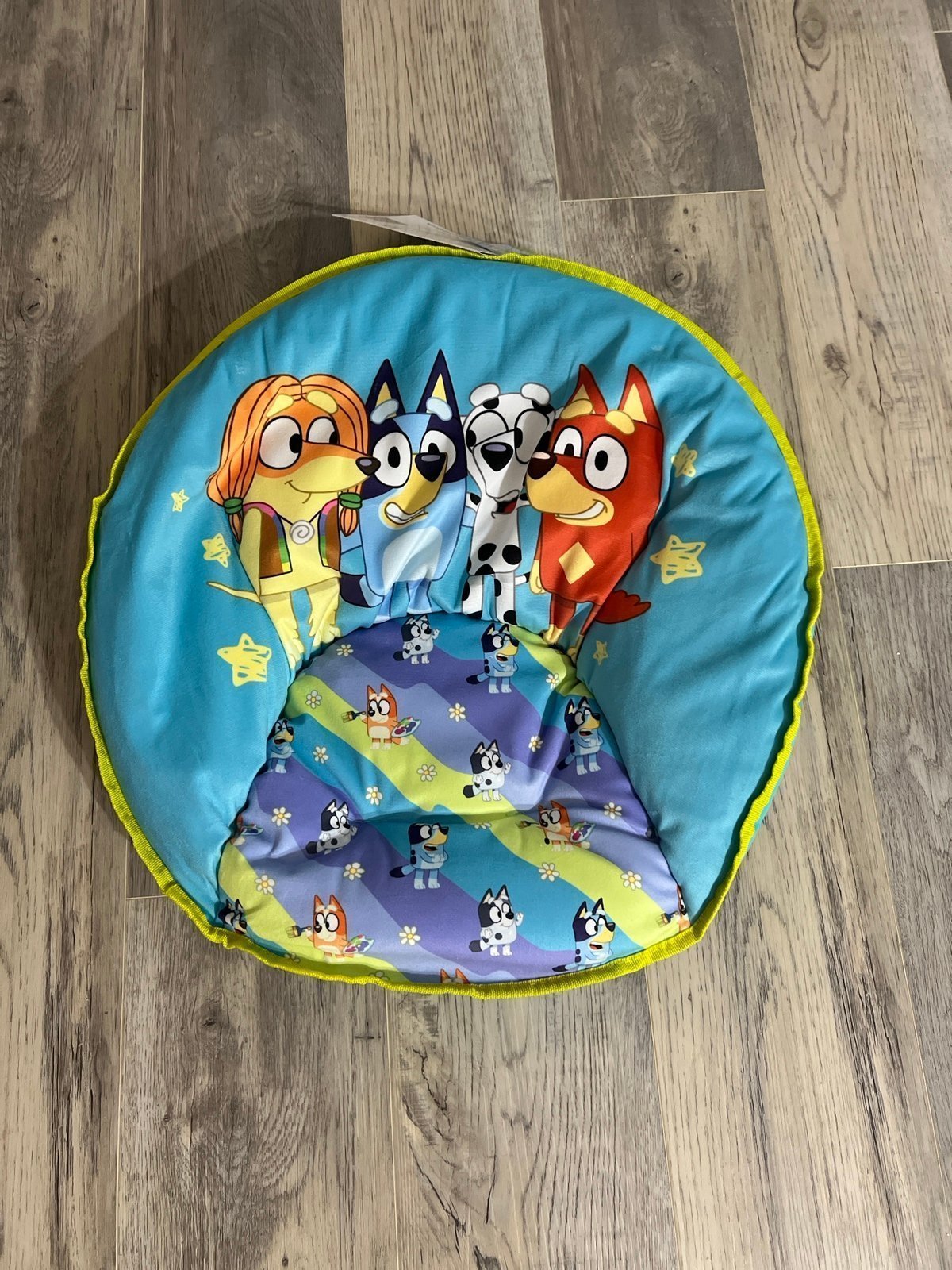 Bluey flip Saucer Chair