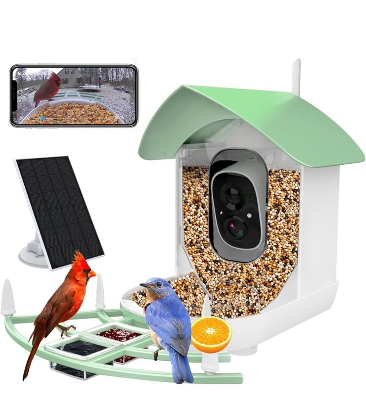Smart Bird Feeder with Camera, AI Identify Bird Breed, Solar-Powered WiFi FHD 2K