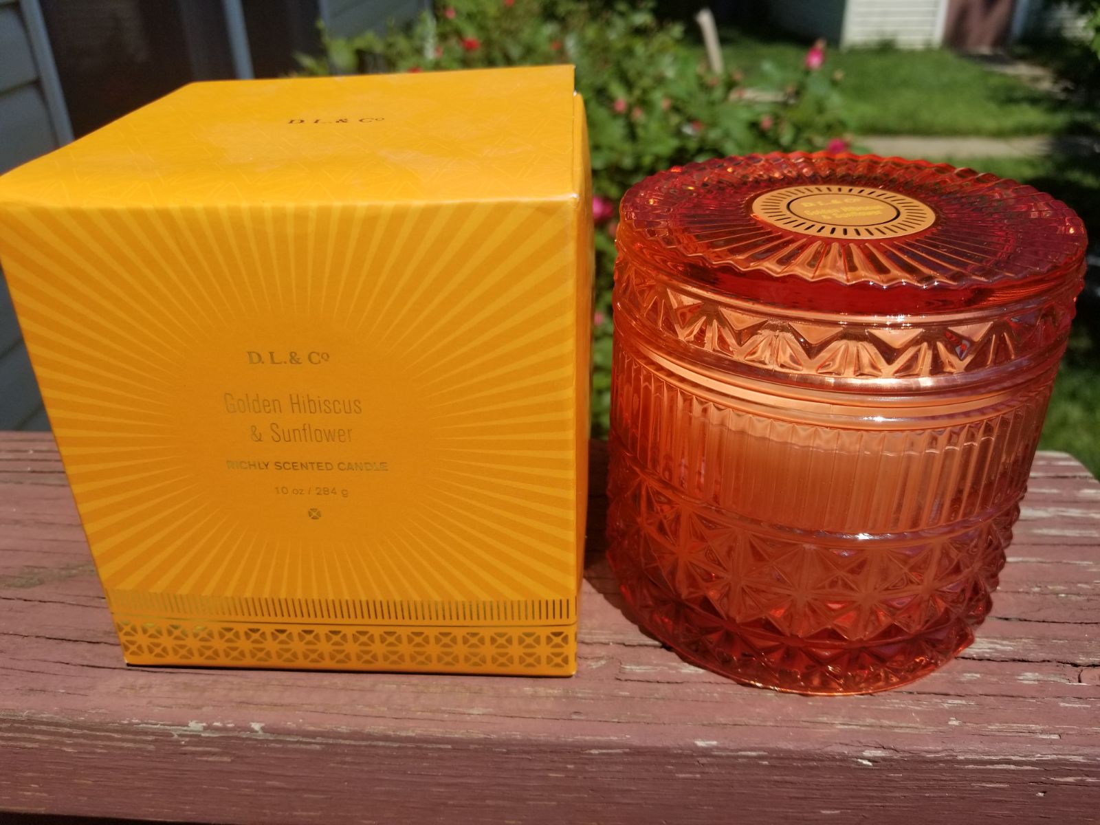 D.L. & CO HIBISCUS & SUNFLOWER RARE