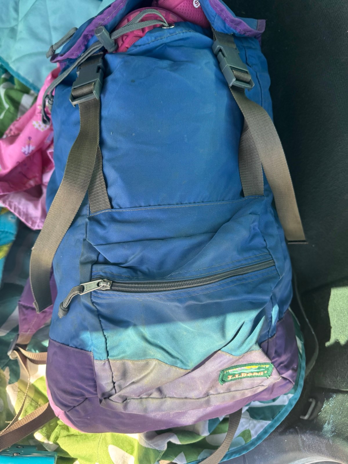 Vintage Rucksack Hiking L.L.Bean Blue and Purple Backpack