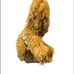 STAR WARS chewie