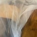Spectra Premium FN1085 Fuel Tank Filler Neck
