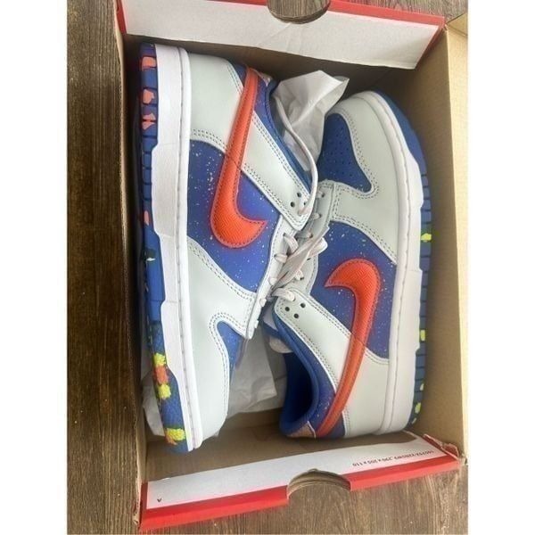Brand New Nike Dunk Low BG paint