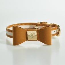 Luxury Dog collar