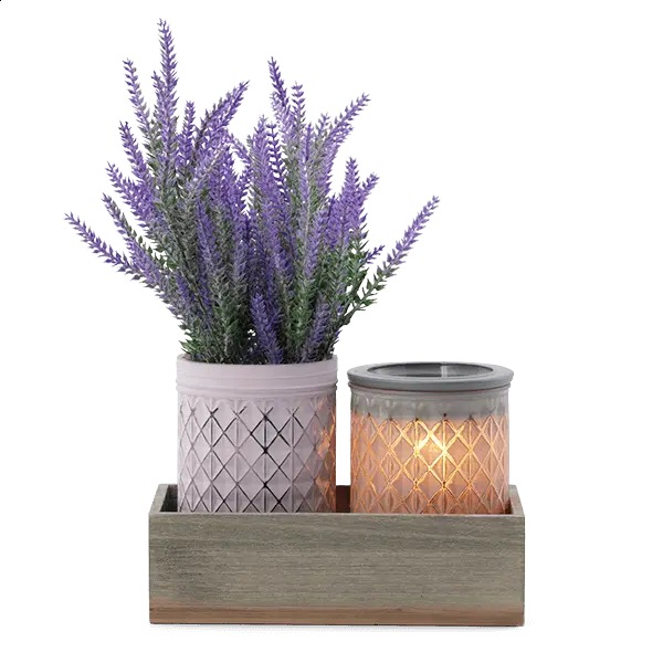 Scentsy - Lavender Bouquet Warmer - New 100%