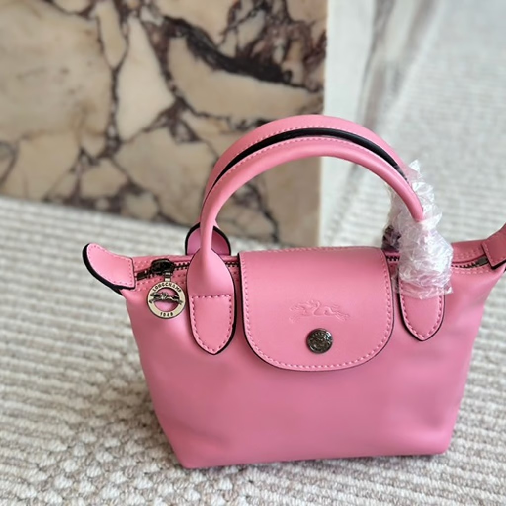 Longchamp Bag