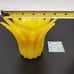 VINTAGE HTF MURANO SUNFLOWER VASES