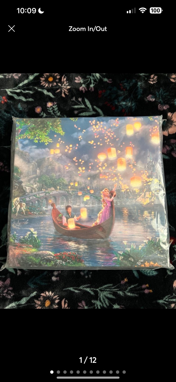 Thomas kinkade Disney tangled rapunzel canvas print