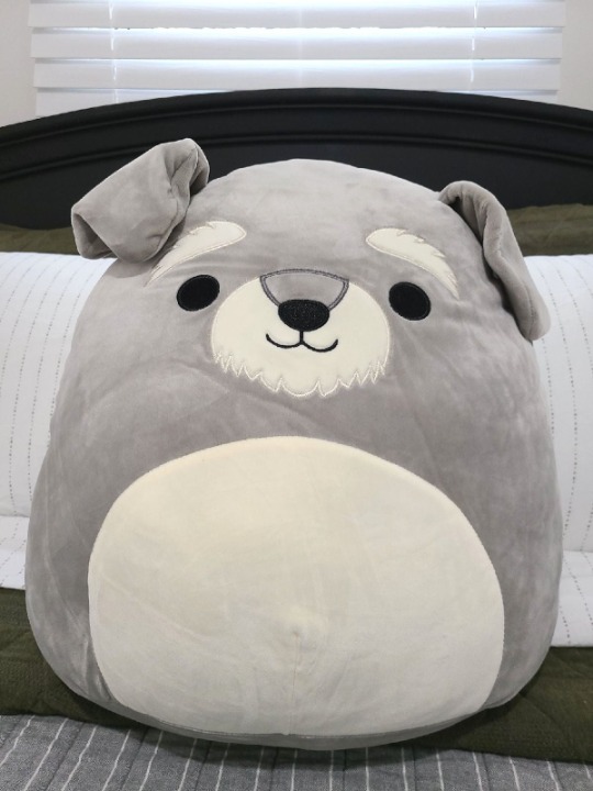 NWT Squishmallows 16 Shaun Schnauzer