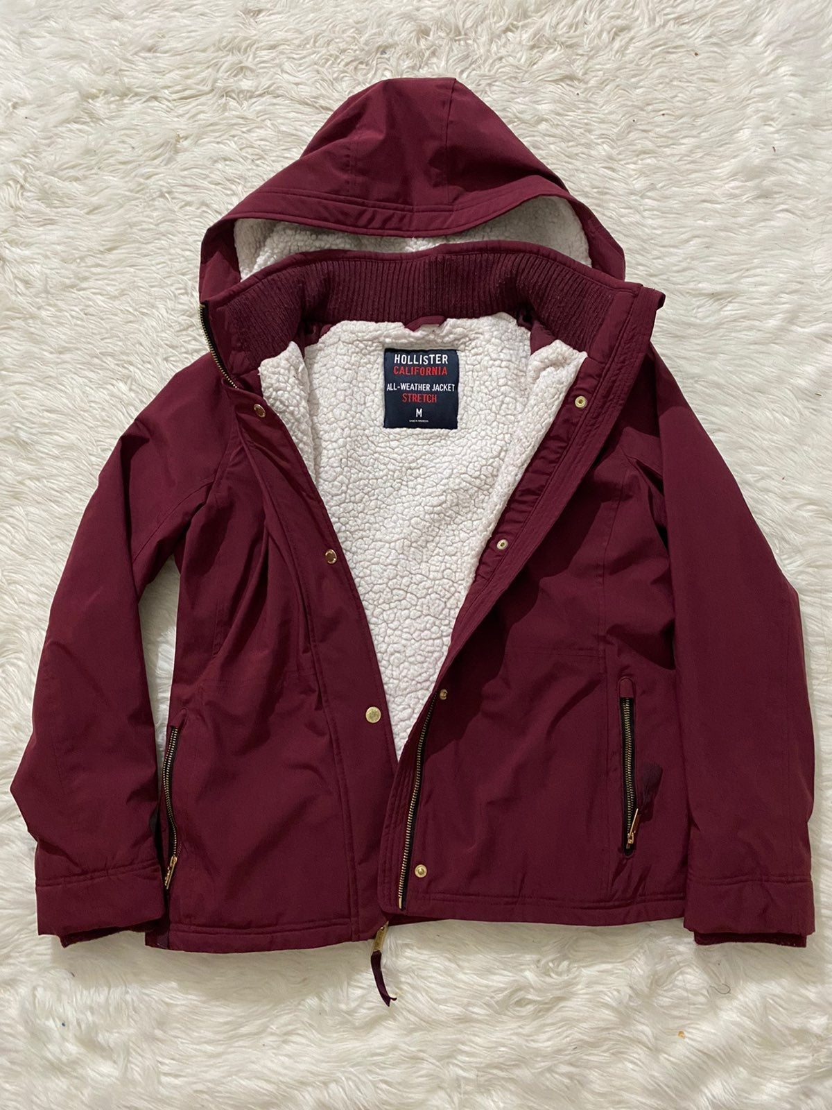 Hollister Winter Jacket