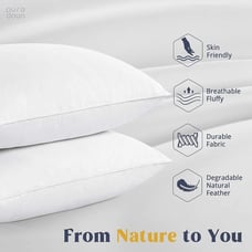 puredown® Goose Feathers and Down White Pillows with 100% Cotton Cover, Bed
