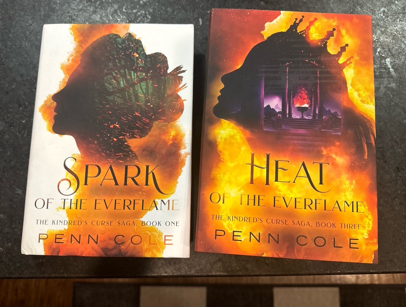 Indie HARDCOVER Spark and Heat of the Everflame (Books 1 and 3) RARE AND OOP