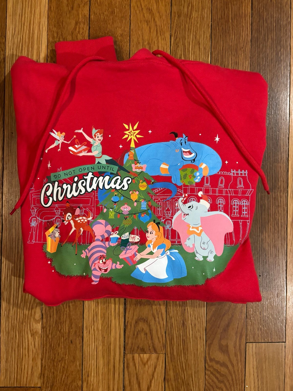 Disney World Holiday Hoodie